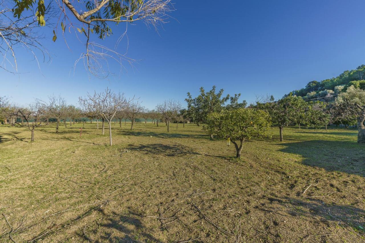Yupihome Finca Moreu *